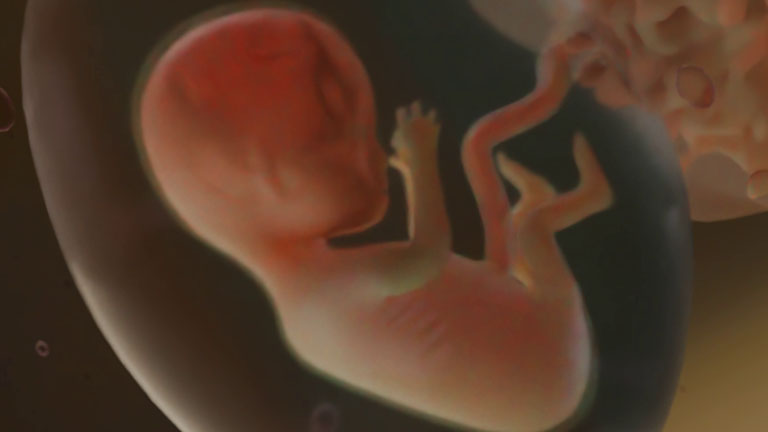 baby_week-14-mydreambaby_game