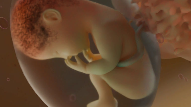 baby_week-38-mydreambaby_game